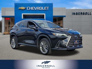 2024 Lexus NX 350 Luxury