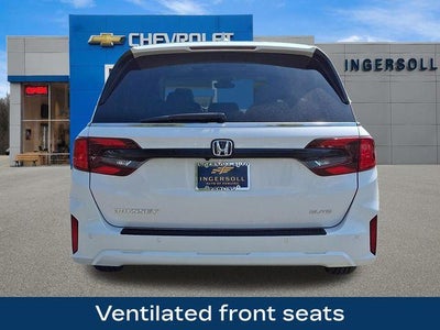 2026 Honda Odyssey Elite