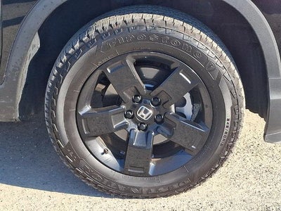 2025 Honda Ridgeline Black Edition