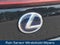 2021 Lexus UX 250h F SPORT