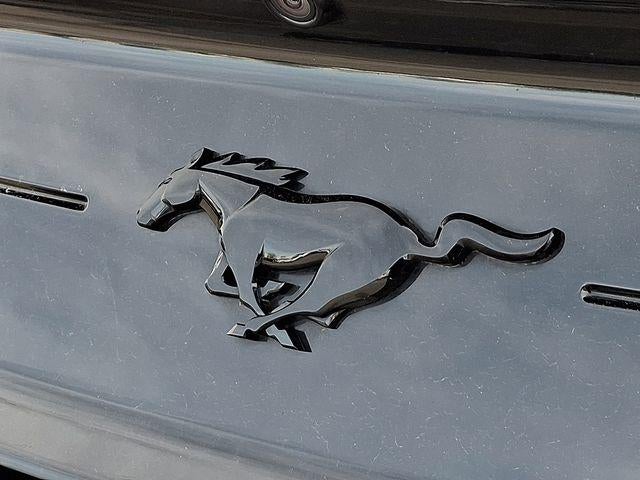 2021 Ford Mustang EcoBoost Convertible