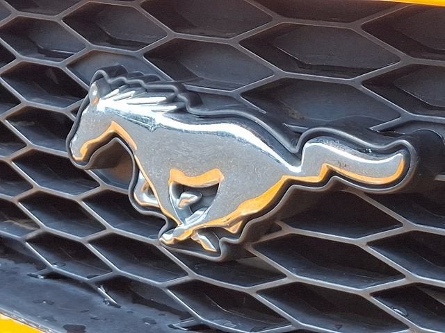 2007 Ford Mustang GT Deluxe